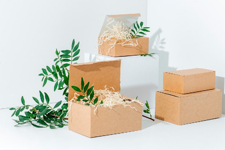 Understanding Market Trends Influencing Custom Eco-Friendly Boxes