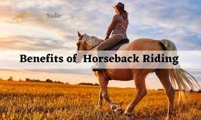 Benefits of horse riding for beginners