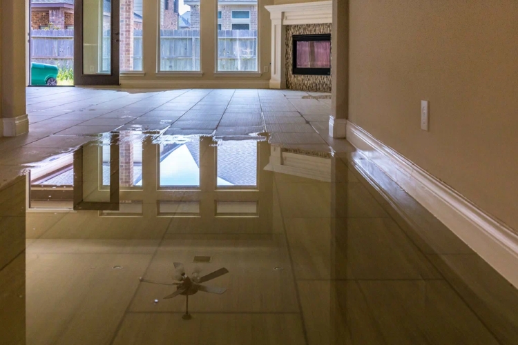 Water Damage Restoration in Buildings