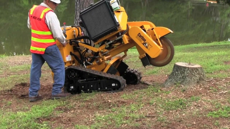 Removing a Tree Stump – Methods and Advic