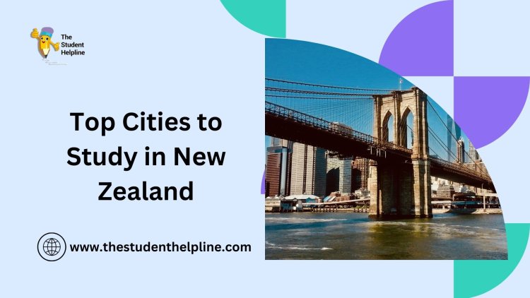 Top Cities to Study in New Zealand