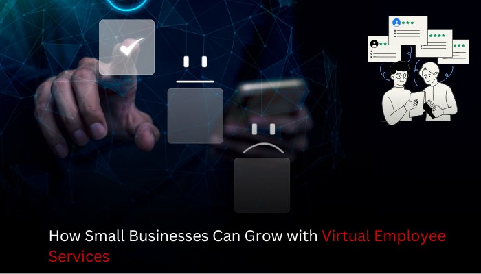 How Small Businesses Can Grow with Virtual Employee Services