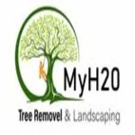 Professional & Affordable Tree Cutting Services