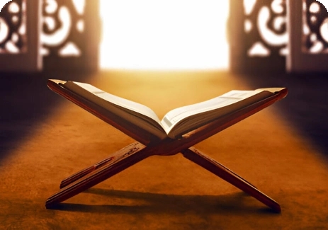 Your Path to Quranic Excellence: Guaranteed Memorization Success