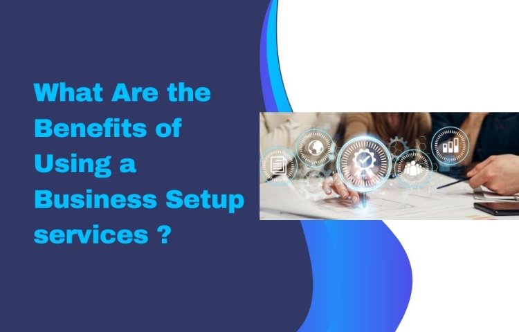 What Are the Benefits of Using a Business Setup services ?