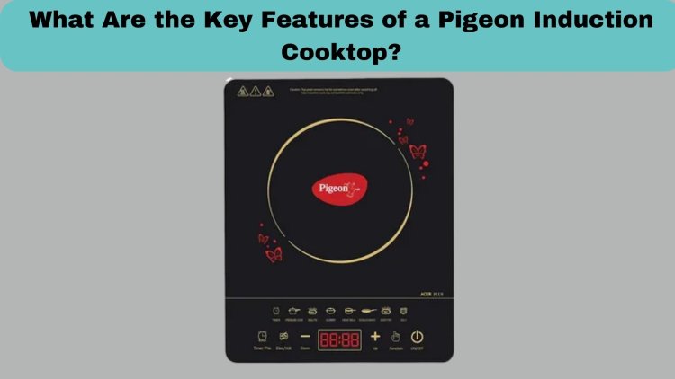 What Are the Key Features of a Pigeon Induction Cooktop?