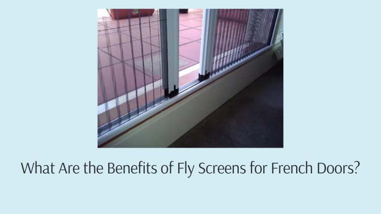 What Are the Benefits of Fly Screens for French Doors?