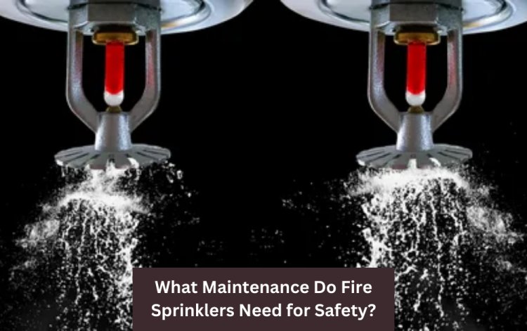 What Maintenance Do Fire Sprinklers Need for Safety?