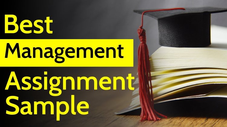 Expert Management Assignment Help | Business Management Support