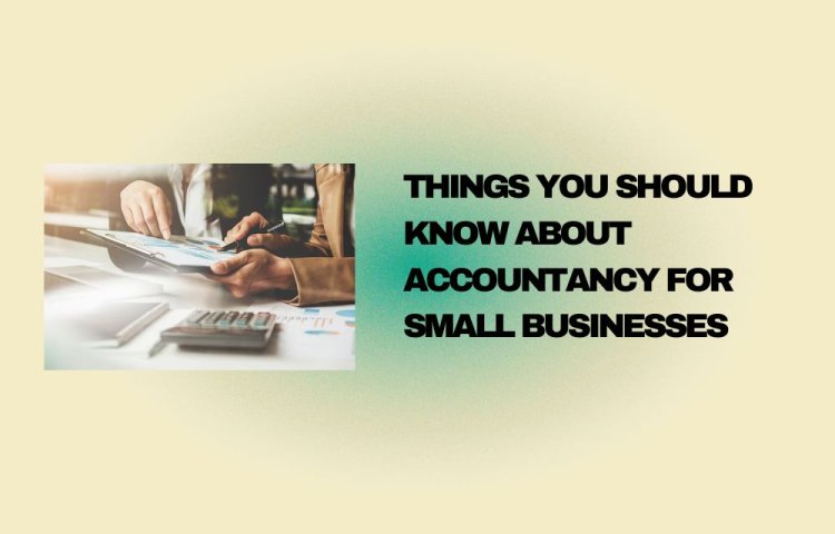 Things You Should Know About Accountancy for Small Businesses