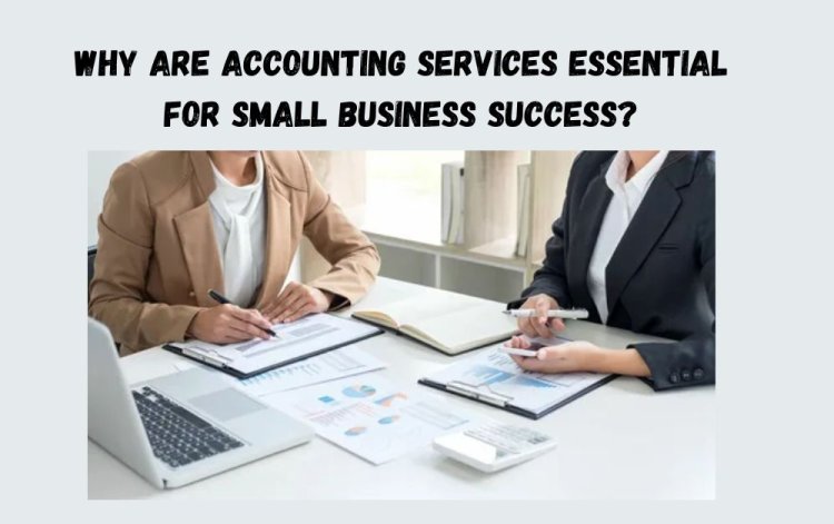 Why Are Accounting Services Essential for Small Business Success?