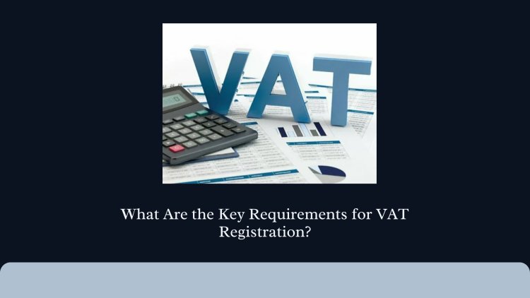 What Are the Key Requirements for VAT Registration?