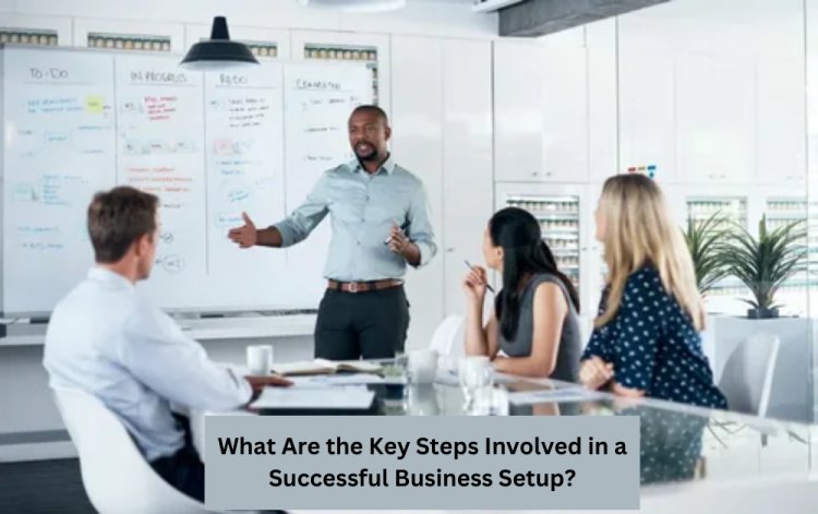 What Are the Key Steps Involved in a Successful Business Setup?