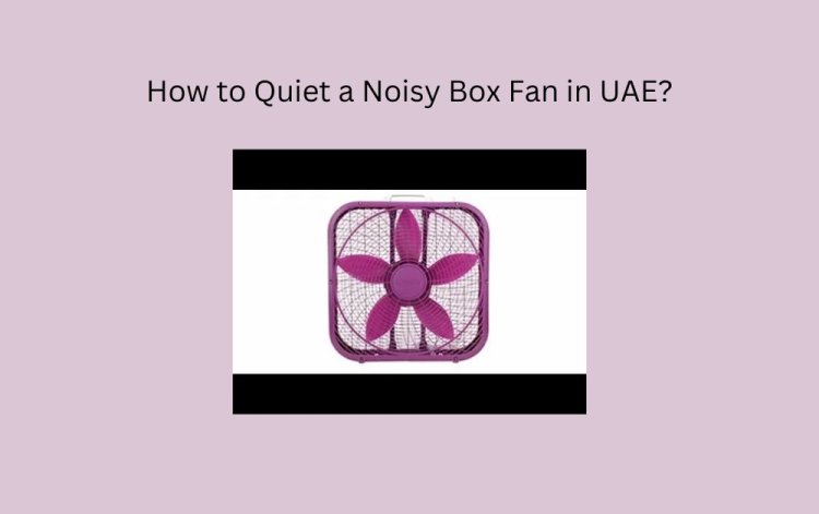 How to Quiet a Noisy Box Fan in UAE?