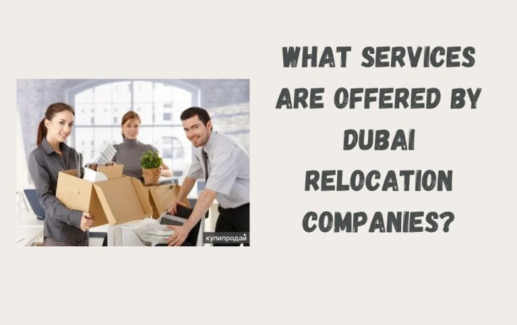 What Services Are Offered by Dubai Relocation Companies?