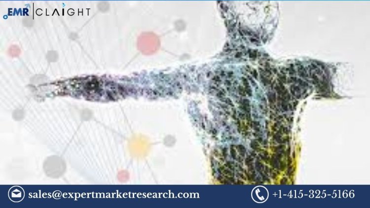 Biosimulation Market: Trends, Growth, and Future Outlook (2025-2034)