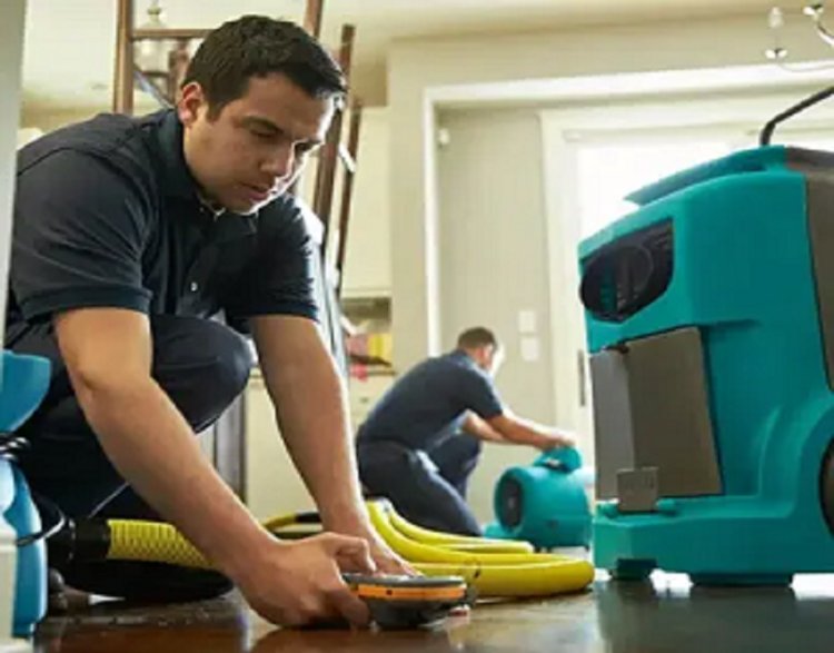 What Are the Benefits of Professional Water Damage Service in Oakville?