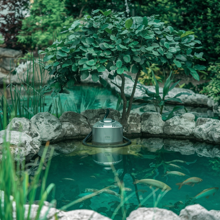 Upgrade Your Water Garden with Top-Quality Pond Pumps